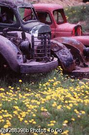 Rusted antique automobiles in field